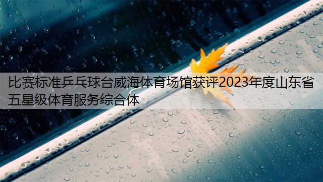 比赛标准乒乓球台威海体育场馆获评2023年度山东省五星级体育服务综合体