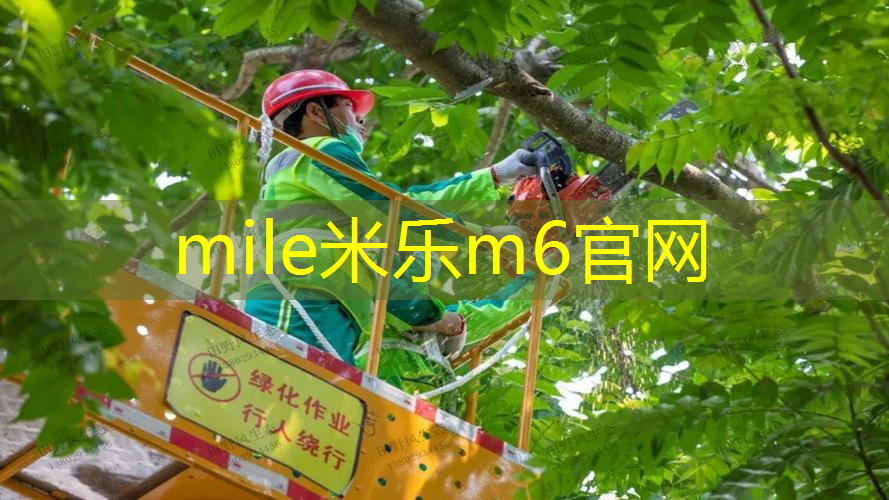 mile·米乐m6：网球拍打到边缘把线打断