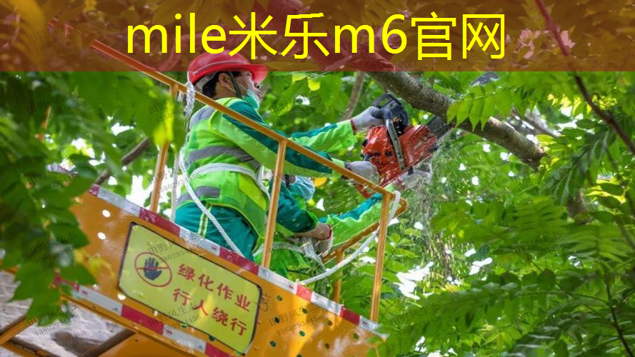 米乐m6官网登录入口：网球拍初学者套装成人