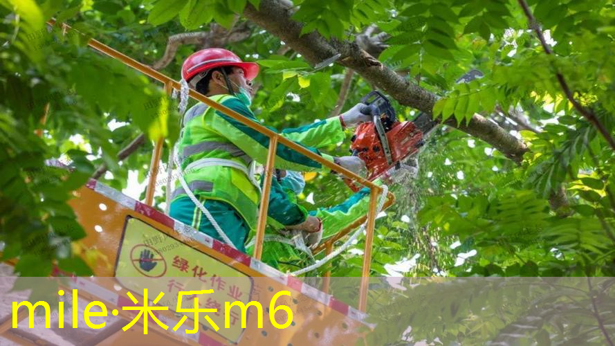 米乐：成人专用网球拍怎么选尺寸