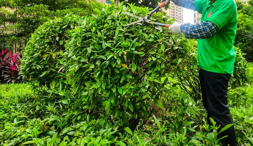 米乐：网球拍胎盘影响看男女吗_