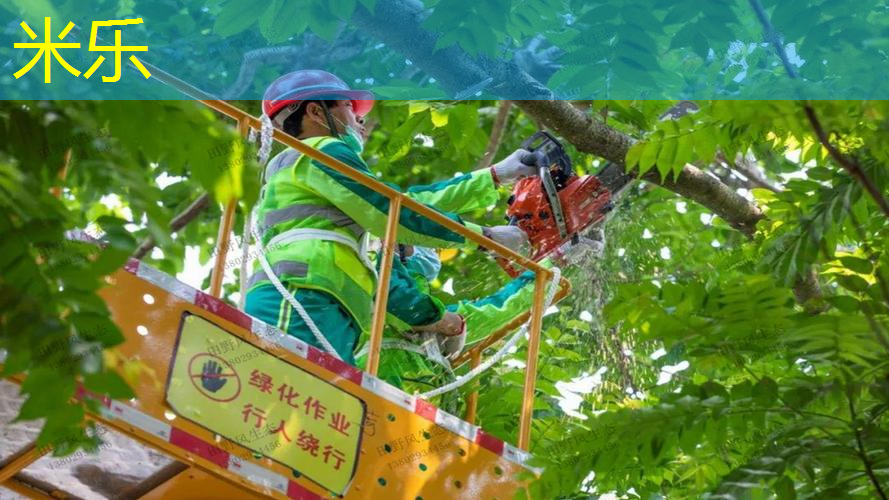 踏步浪板运动是否适合那些对游泳不擅长的人？