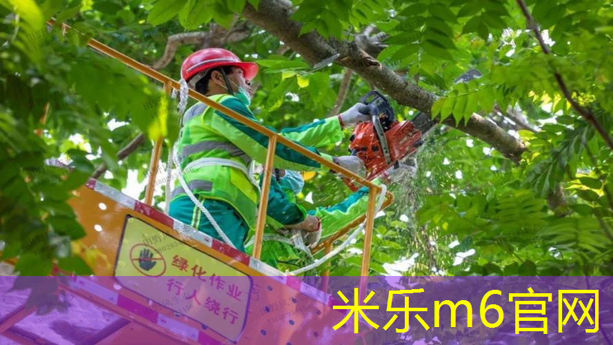 怎样调乒乓球台高矮