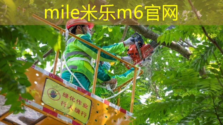 室内健身练胸肌好吗女生