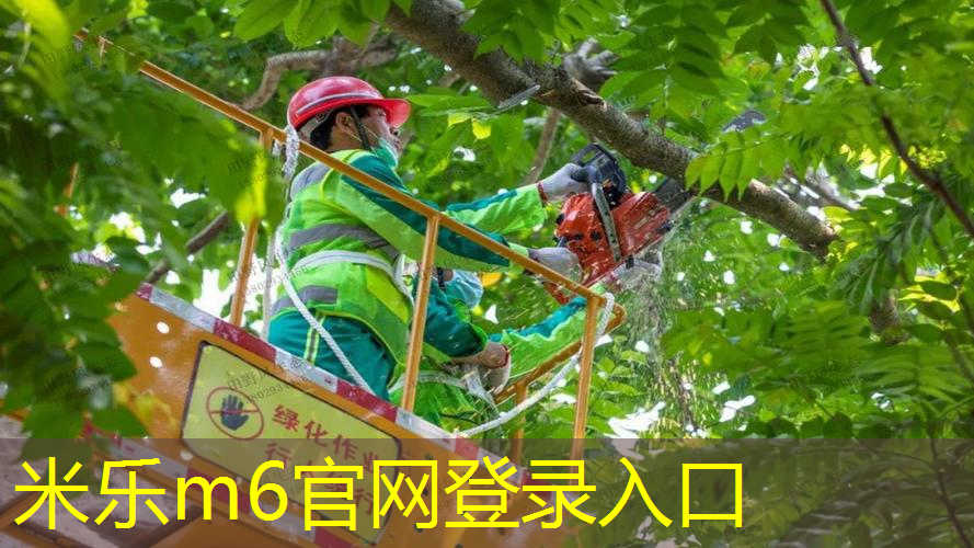 米乐m6官网：乒乓球台中线算哪一边