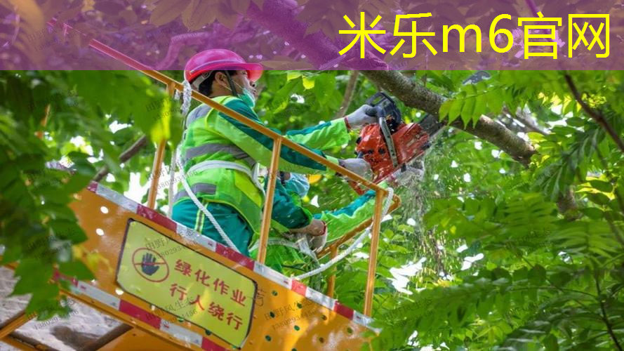 mile米乐m6官网：乒乓球台俱乐部武汉有几家