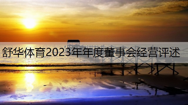 舒华体育2023年年度董事会经营评述