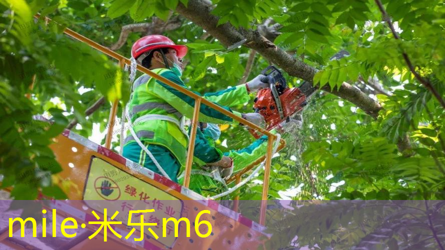 网球拍打到边缘把线打断