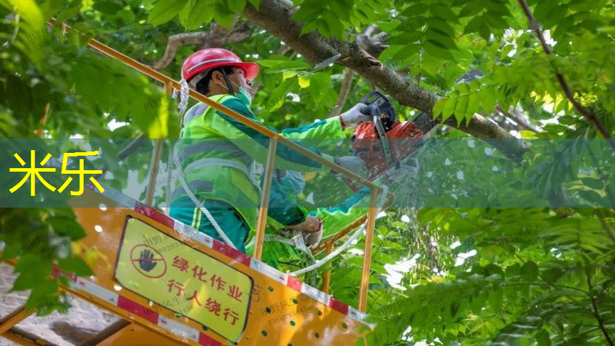 成人专用网球拍怎么选尺寸