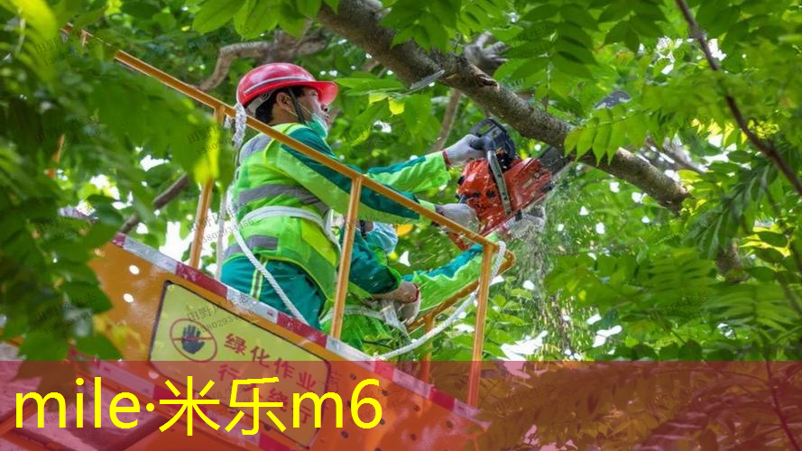 怎样调乒乓球台高矮
