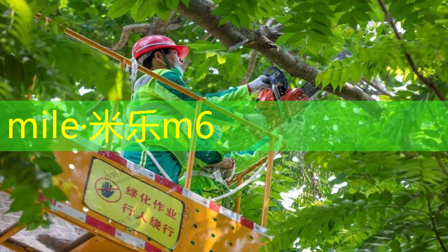 乒乓球台中线算哪一边