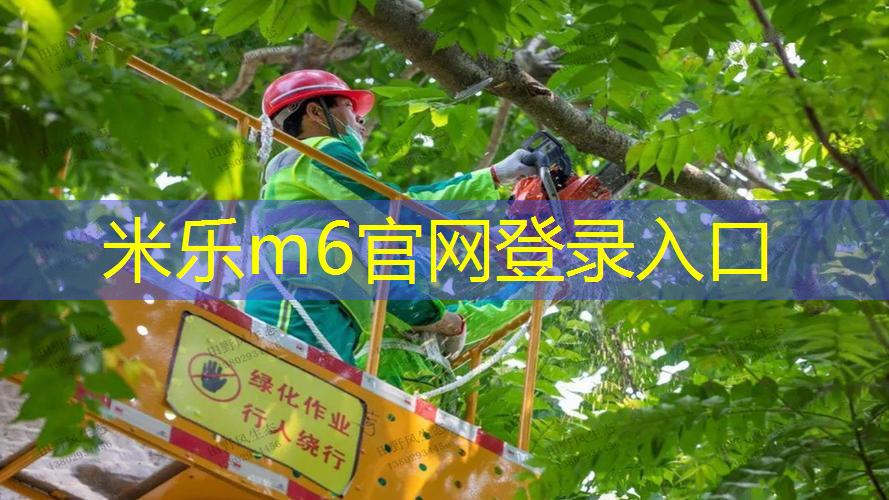乒乓球台俱乐部武汉有几家