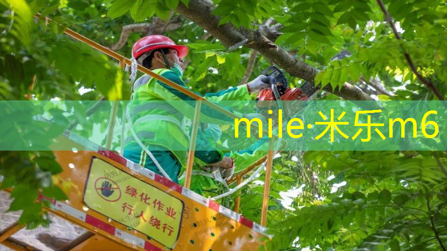 乒乓球台架子尺寸